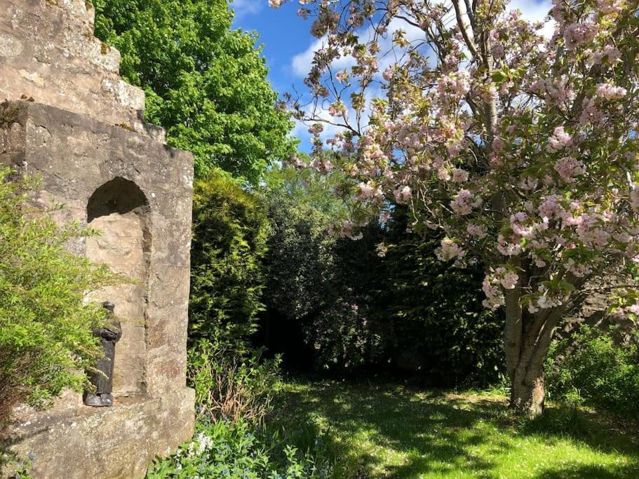Historical North Cottage In Old Deer المظهر الخارجي الصورة